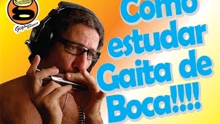 Gaita iniciante  Como estudar gaita diatonica  Harmônica   Gaita de boca [upl. by Uranie]