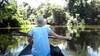 Into Tortuguero National Park [upl. by Assylla]