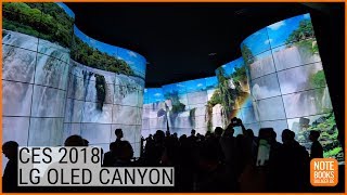 CES 2018 LG OLED Canyon  Deutsch  German ►► notebooksbilligerde [upl. by Nave]