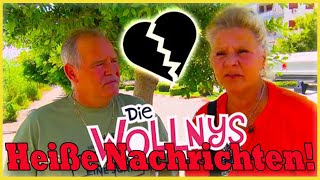 Die Wollnys  Zerbrochene Familie Harald Elsenbast amp Silvia Wollny [upl. by Ahsiliw]