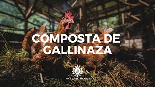 Cuál es el mejor ABONO Compost Humus de Lombriz Guano o Estiércol Huerta en Casa [upl. by Alegnat]