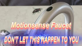 415 Moen Motionsense Kitchen Faucet  WARNING [upl. by Narine]