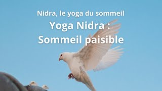 SOMMEIL 82 Yoga Nidra  Sommeil paisible [upl. by Alvy97]