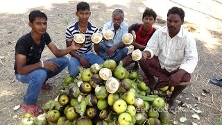 Eating Fresh Toddy Palm Fruit in My Village  Village Style Taati Munjalu  Street Food Catalog [upl. by Anirat]