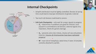 BIOL201 Ch103  Control of the Cell Cycle  OpenStax Biology [upl. by Etnahsal259]