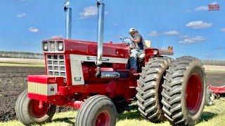 INTERNATIONAL 1468 Tractor Plowing [upl. by Catarina]