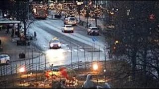 Gävle Goat  HIT BY CAR  2016 [upl. by Takken]