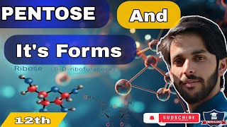 PENTOSES  structure of Ribose and Ribulose  biomolecule biology ribose [upl. by Sabrina]