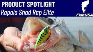 Why You Need to Add the Rapala Shad Rap Elite to your Arsenal [upl. by Ainitsirhc]