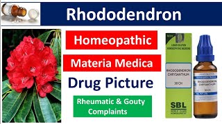 Rhododendron Homeopathic Medicine  Drug Picture  Materia Medica bhms [upl. by Anreval]