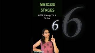 Meiosis stages📝  Cell cycle and cell Division shorts neet ytshorts [upl. by Aihsekat]