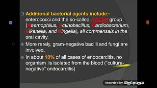 Infective Endocarditis [upl. by Esau]