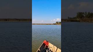 Imágenes de la albufera de Valencia después de la dana podéis ver que esta mejor el agua españa [upl. by Nue587]