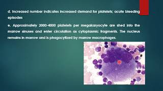 platelets in hemostasis [upl. by Dola963]