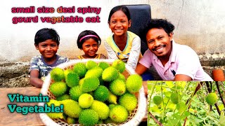 Spiny Gourd EatingCooking And EatingSmall Size VegetableEating ShowVitamin Vegetable [upl. by Wiebmer]