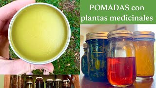 Aprende sobre ACEITES Y POMADAS HERBALES 🌱 herbolaria [upl. by Valery]