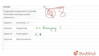 Organelle important in spindle formation during nuclear division is [upl. by Nnaid]