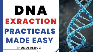 EXTRACTION OF DNA FROM A BANANA PRACTICAL GUIDE  GRADE 12 LIFE SCIENCES BY MSAIDI THUNDEREDUC [upl. by Hnamik]