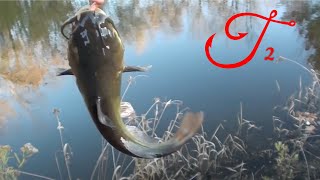 Fishing for Black Bullhead  Quest 2 of 50 [upl. by Oruntha]