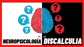 🧠 A qué partes del CEREBRO afecta la DISCALCULIA Te contamos todo sobre sus BASES ORGÁNICAS [upl. by Nanice]