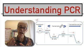 Understanding PCR [upl. by Ricardo]