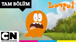 LAMPUT  Evdeki Misafir  TAM BÖLÜM  cartoonnetworkturkiye [upl. by Platas]