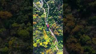 Zhangjiajie Grand Canyon Glass Bridge Bungee Jump [upl. by Namus]