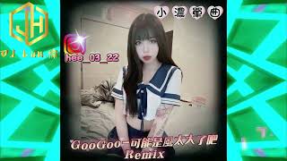 GooGoo  可能是風太大了吧 Remix 小濃單曲DJ Lun 2024《特別訂製版》 [upl. by Amato]