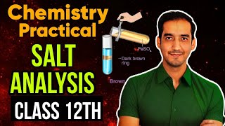 Score 30 in Chemistry Practical 🔥 Salt Analysis  Class 12 CBSE 2024 Sourabh Raina [upl. by Stine]