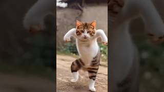 😂😂  dance cgsong cgviral cgutsong comedy viralvideo trending [upl. by Dijam]