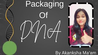 PACKAGING OF DNA  HISTONE PROTEIN  CLASS 12th [upl. by Ennayt]