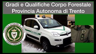 Gradi e Qualifiche Corpo Forestale Provincia Autonoma di Trento [upl. by Suneya]