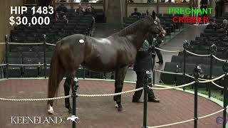 Keeneland Live Feed [upl. by Merce]