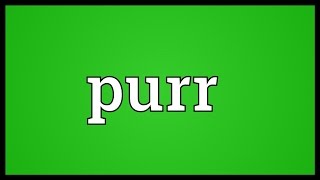 Purr Meaning [upl. by Nosneb]