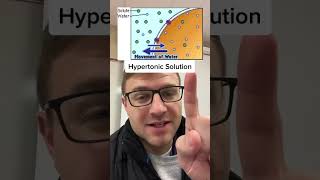 Isotonic Hypertonic Hypotonic Solutions [upl. by Eniawtna]