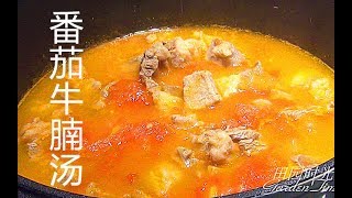 『Eng Sub』番茄牛腩汤 （一滴水不加 这样煮出来的牛腩汤太好喝了）Tomato beef stew【田园时光美食】 [upl. by Natye]