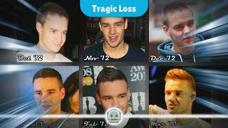 Tragic Loss Liam Payne of One Direction Dies at 31 [upl. by Irving]