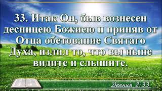 ВидеоБиблия Деяния святых апостолов без музыки все главы [upl. by Yekcaj]