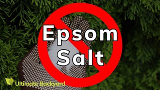 What Plants Don’t Like Epsom Salt ANSWERED [upl. by Eynaffit446]