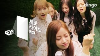 세로라이브 에이프릴  팅커벨 [upl. by Gnanmos]