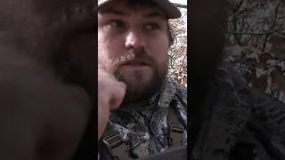 The BEST Feeling in Bowhunting  Anyone else get this pumped deerhunting bowhunting hunting [upl. by Yenffad]