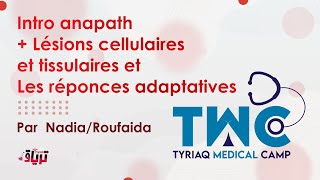 TMC Intro anapath  Lésions cellulaires et tissulaires et Les réponces adaptatives NadiaRoufaida [upl. by Nathaniel]