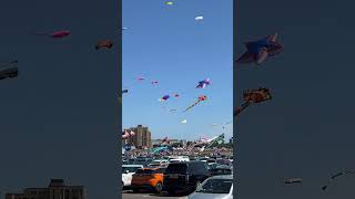 International Kite Festival is on [upl. by Erica]