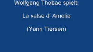 La valse d Amelie  Accordion [upl. by Kcirrag858]