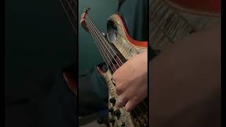 Solo Eslabon Armado Erre bass cover [upl. by Garceau]