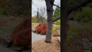 VanDusen Garden Fountain [upl. by Mikal181]