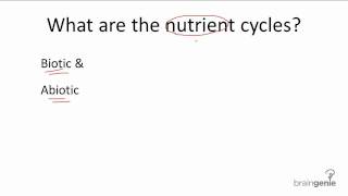 172 Nutrient Cycle [upl. by Arba227]