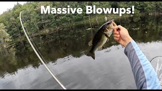 Bass Fishing the Adirondacks with Topwater [upl. by Notreb]