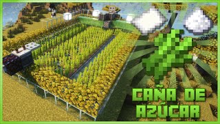 Granja de Caña de Azúcar Definitiva  Minecraft Java amp Bedrock 121  🔝10 stacks x hora [upl. by Seaddon284]