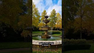 Regents Park London in Autumn🍂 travel london shorts autumn visitlondon regentspark visituk [upl. by Byrd]